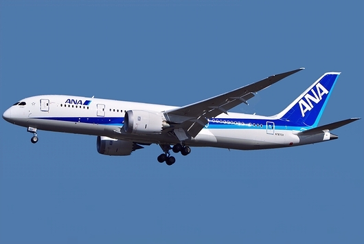 ANA B787-8